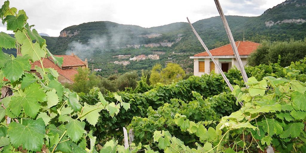 Agriturismo Barilaro Finale Ligure Zewnętrze zdjęcie