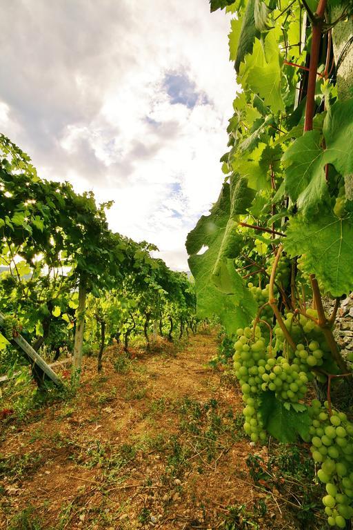 Agriturismo Barilaro Finale Ligure Zewnętrze zdjęcie